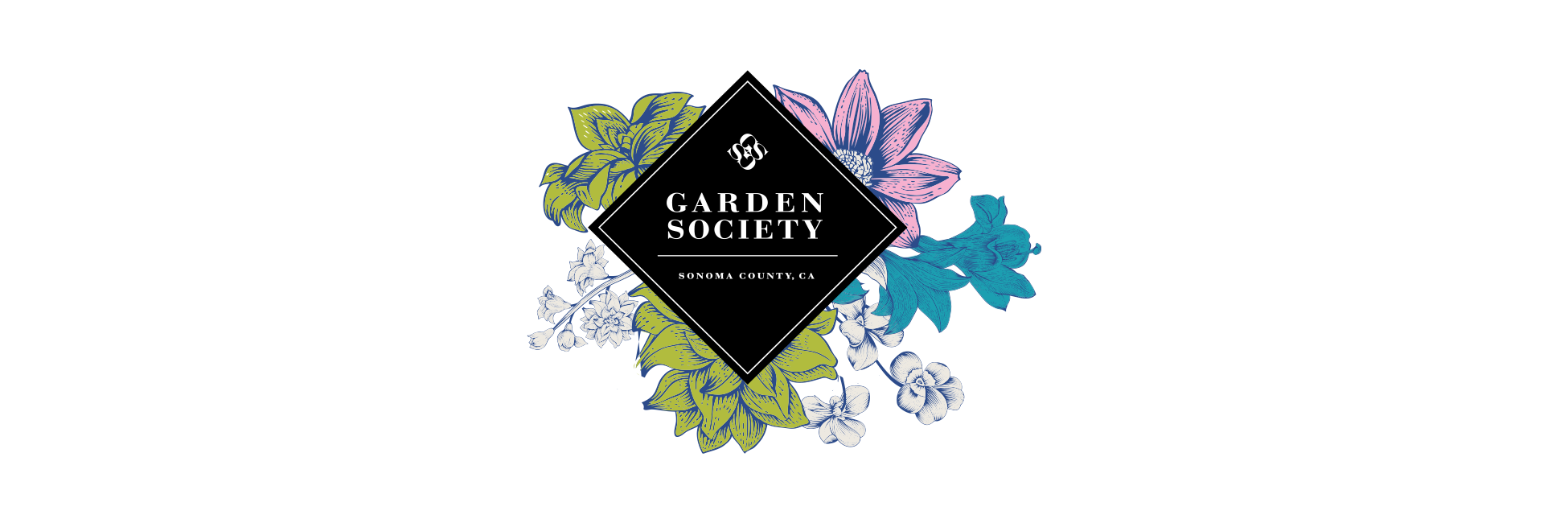 Brand banner image
